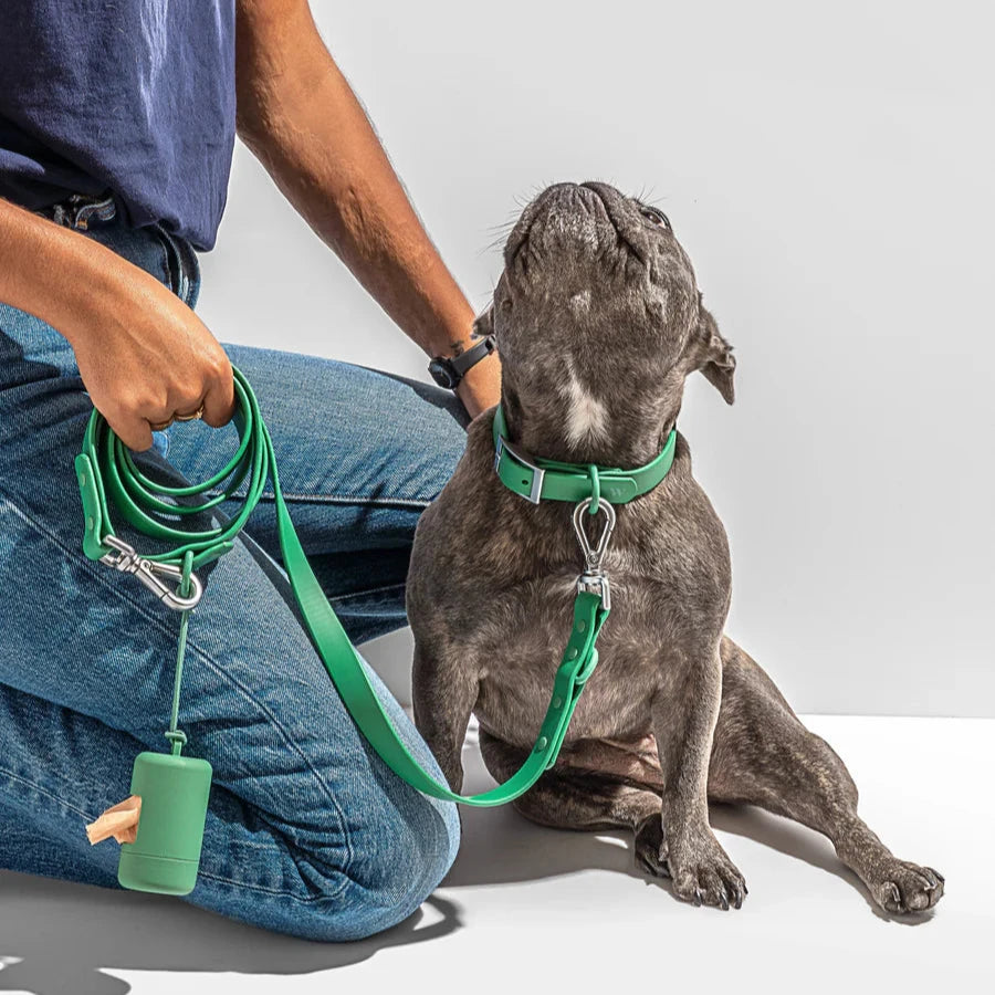 Wild One Leash, Spruce