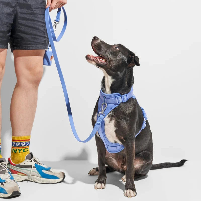 Wild One Leash Small, Moonstone