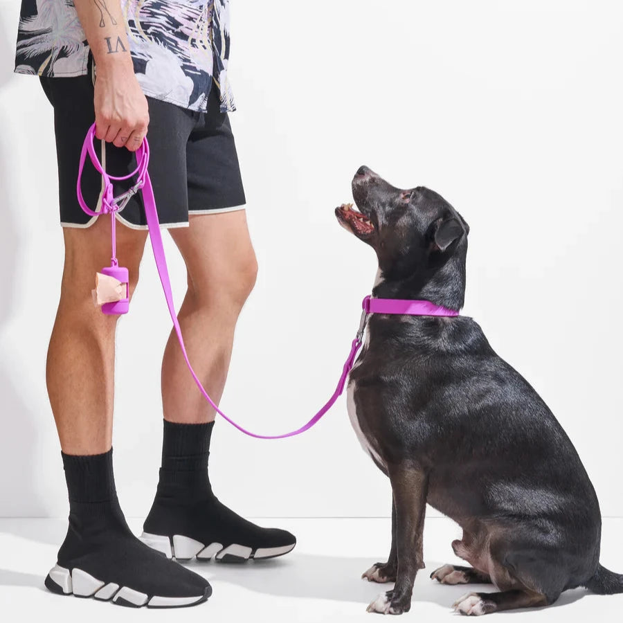 Wild One Leash, Orchid