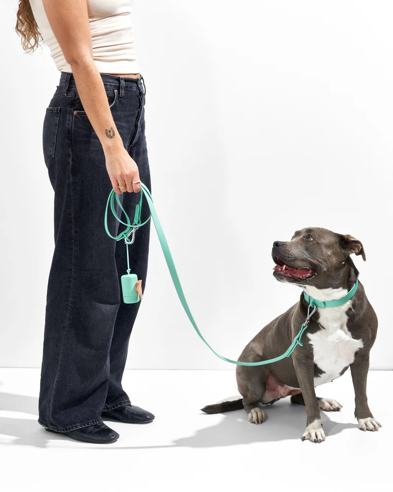 Wild One Collar, Seafoam