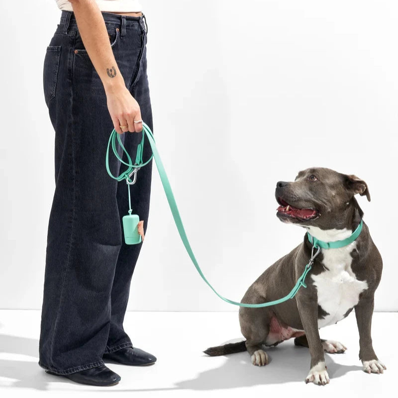 Wild One Leash, Seafoam