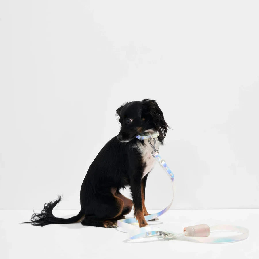 Wild One Leash, Lunar