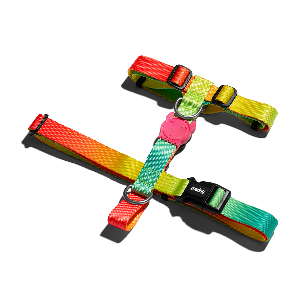 Zee.Dog Citrus H-Harness