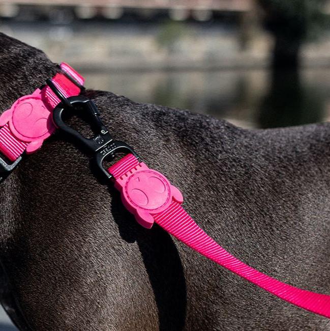 Zee.Dog Pink LED Leash