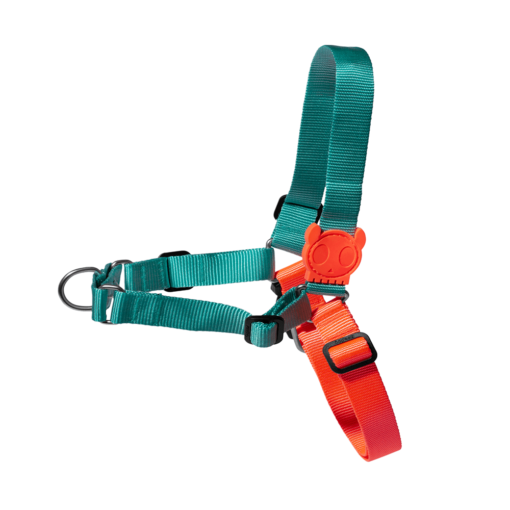 Zee.Dog Twist Soft-Walk Harness