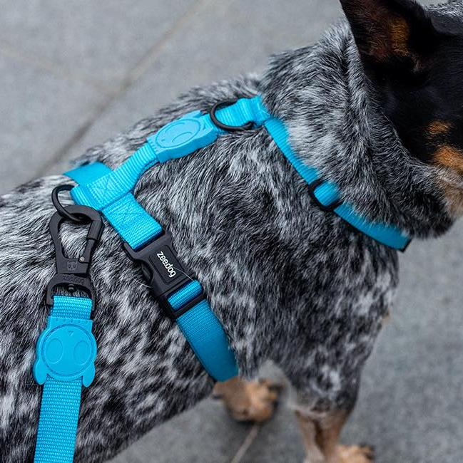Zee.Dog Ultimate Blue H-Harness