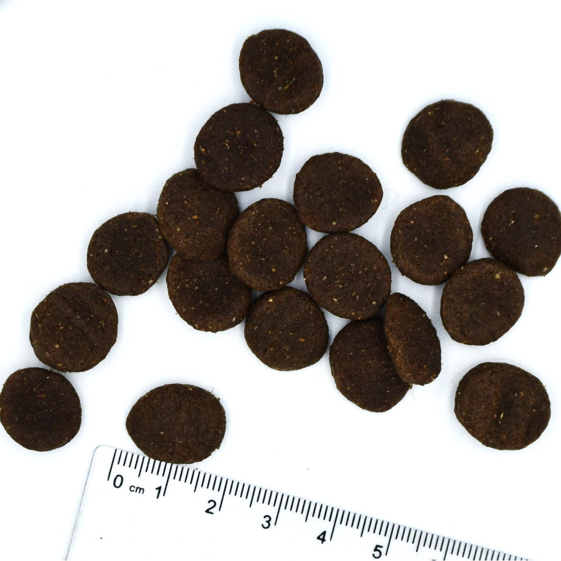 Monge All Breeds Adult B Wild Lamb with Potatoes and Peas, 2.5 kg