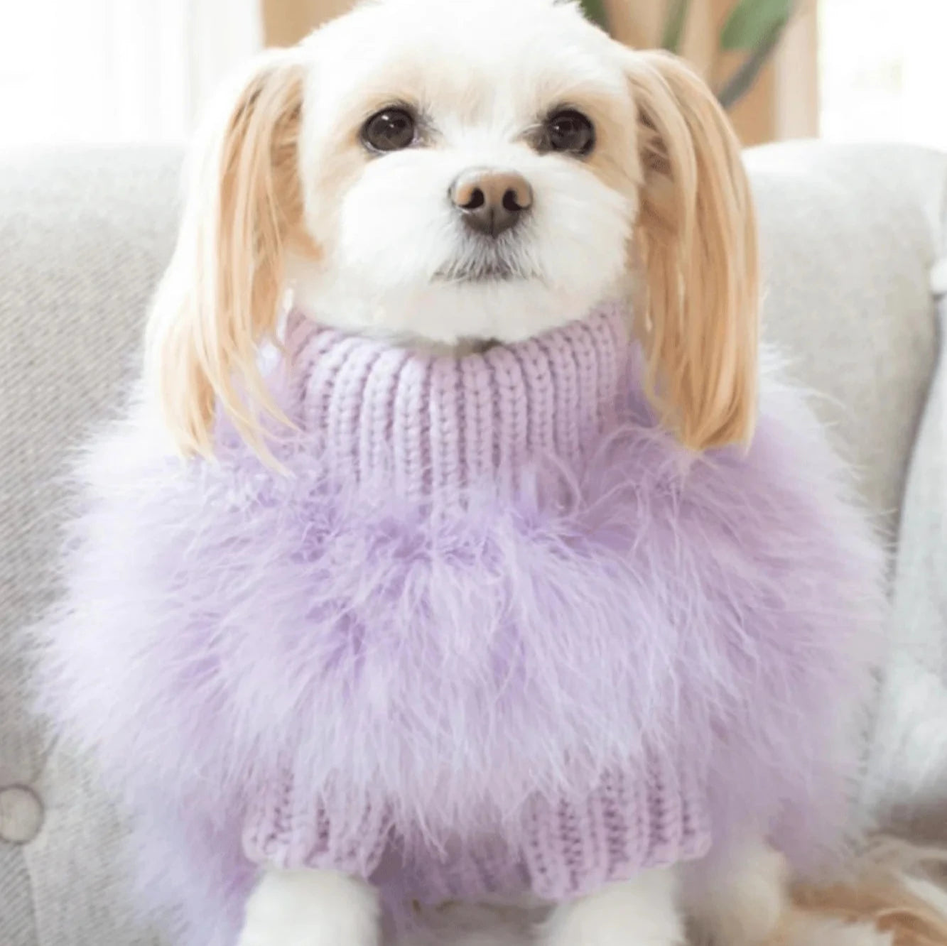 Christian Cowan X Maxbone Jumper, Lavender