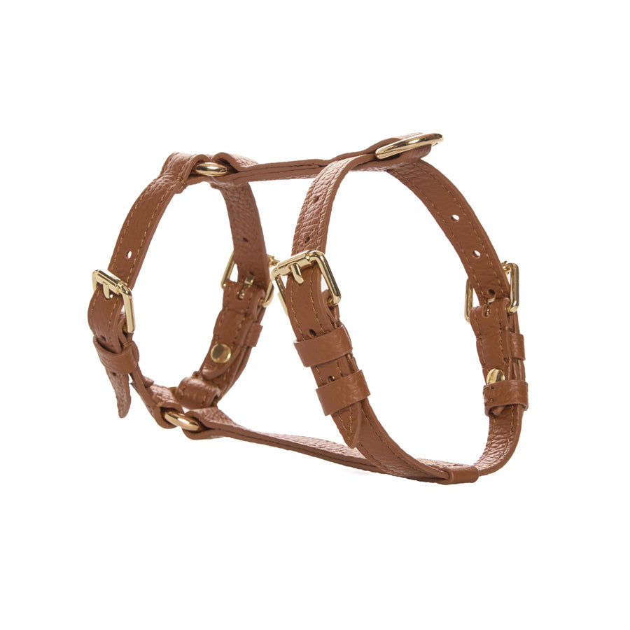 Maltipoo World Harness Hug, Brown