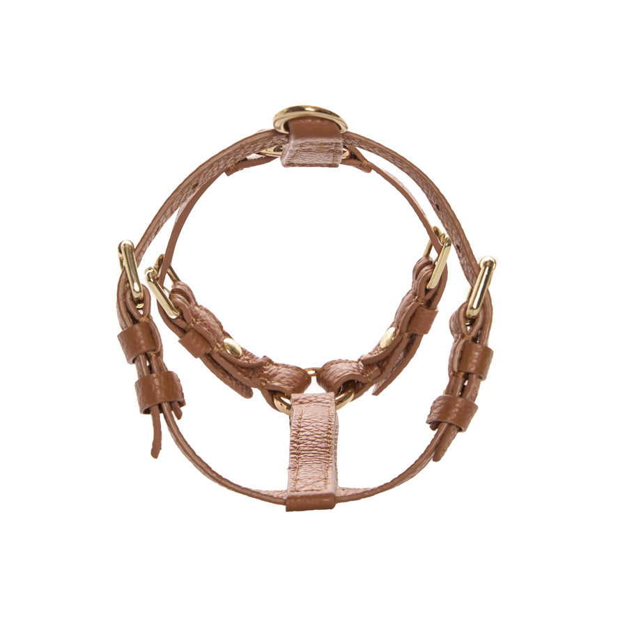 Maltipoo World Harness Hug, Brown