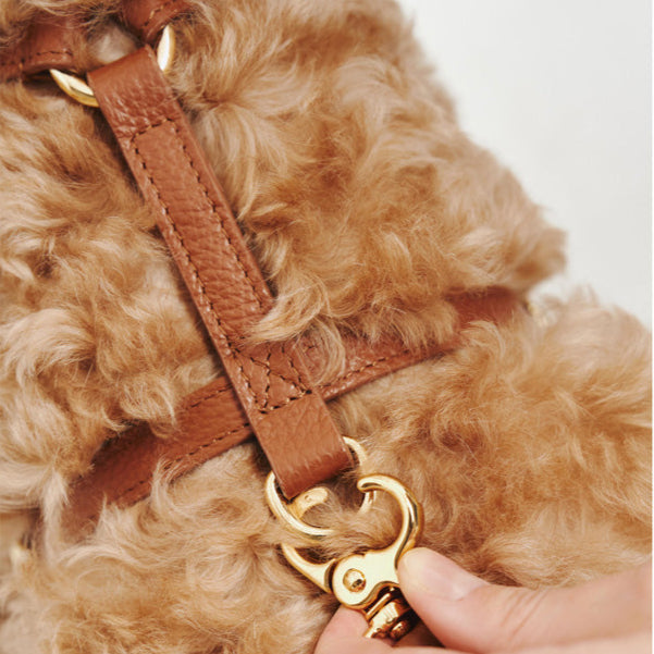 Maltipoo World Harness Hug, Brown