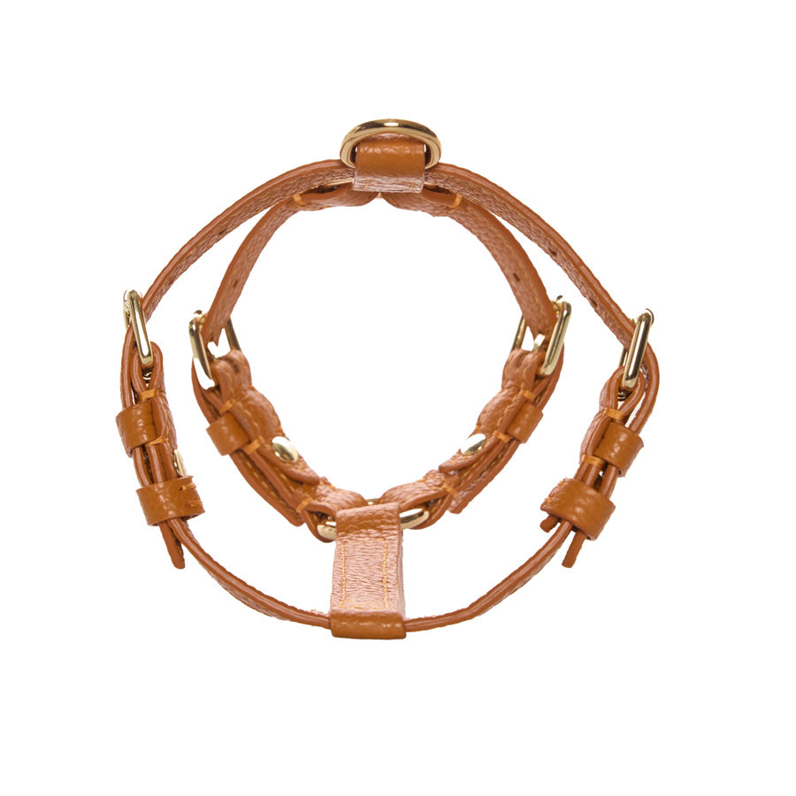 Maltipoo World Harness Hug, Orange