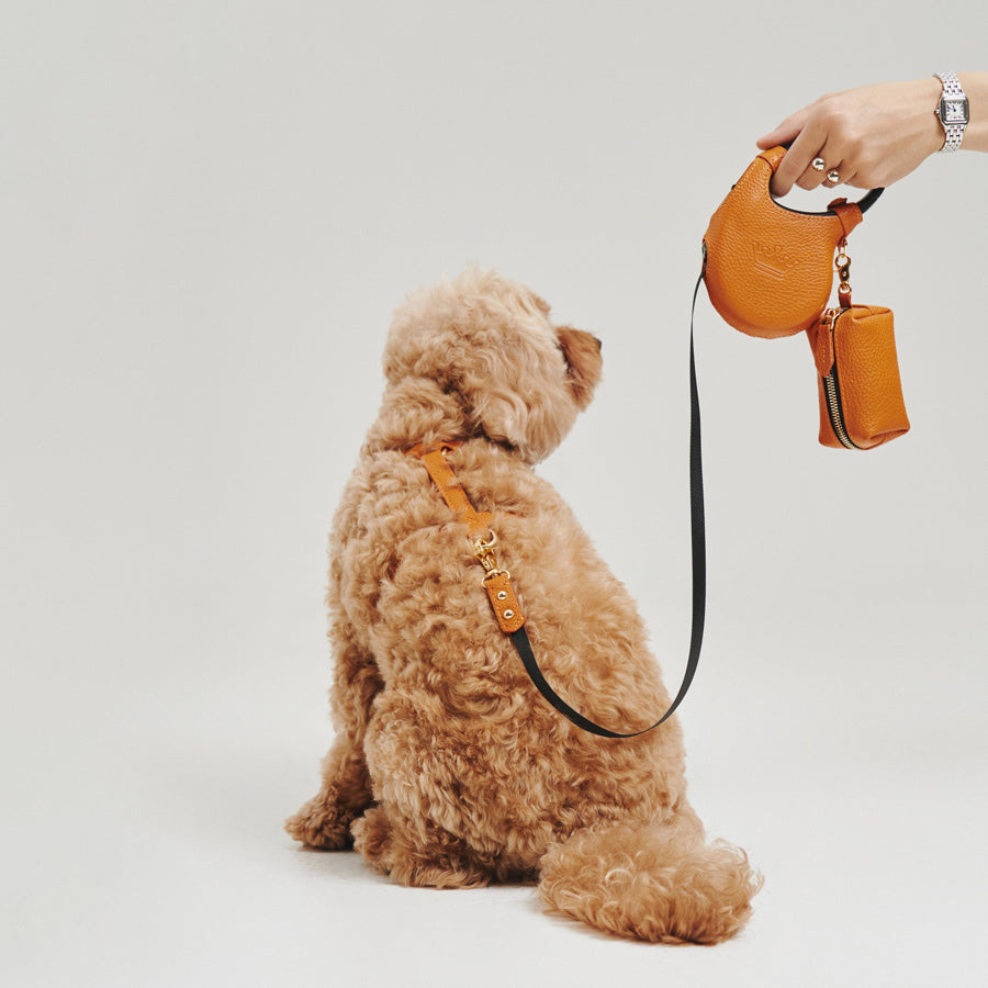 Maltipoo World Harness Hug, Orange