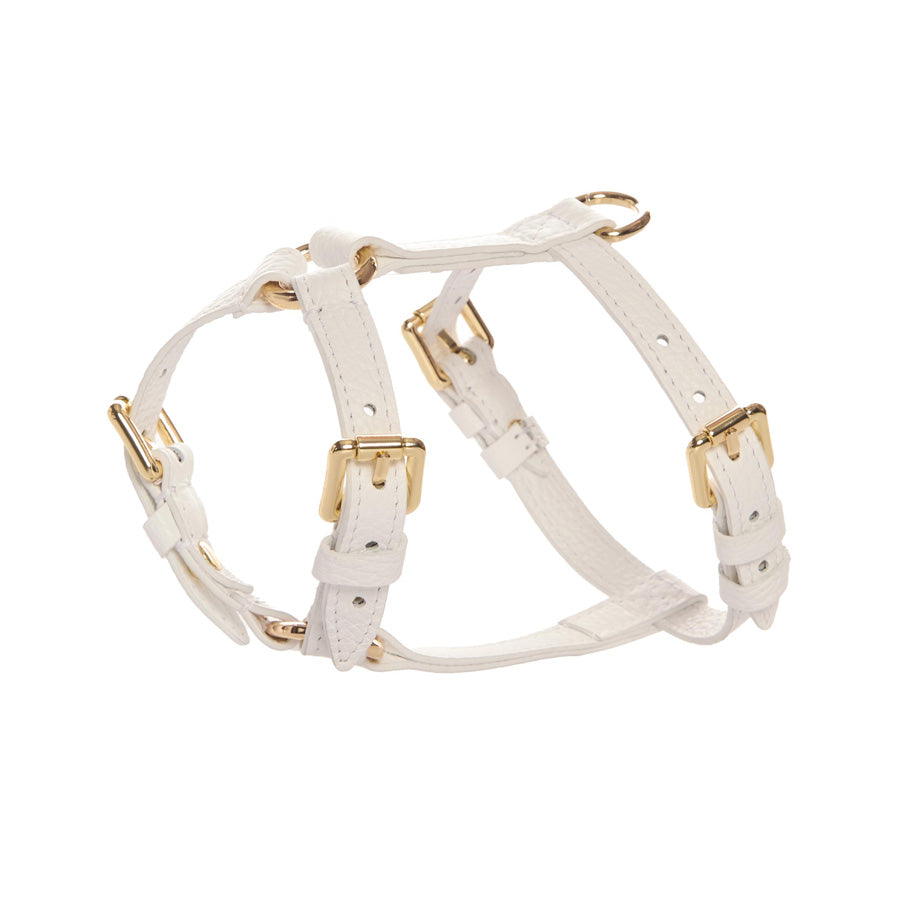 Maltipoo World Harness Hug, White