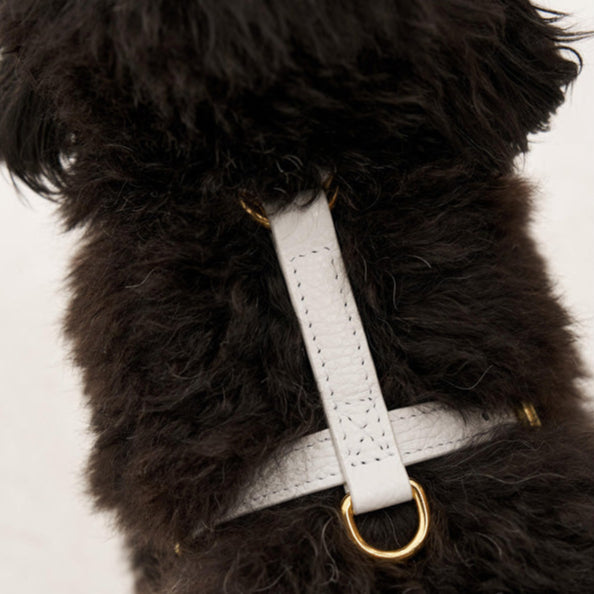 Maltipoo World Harness Hug, White