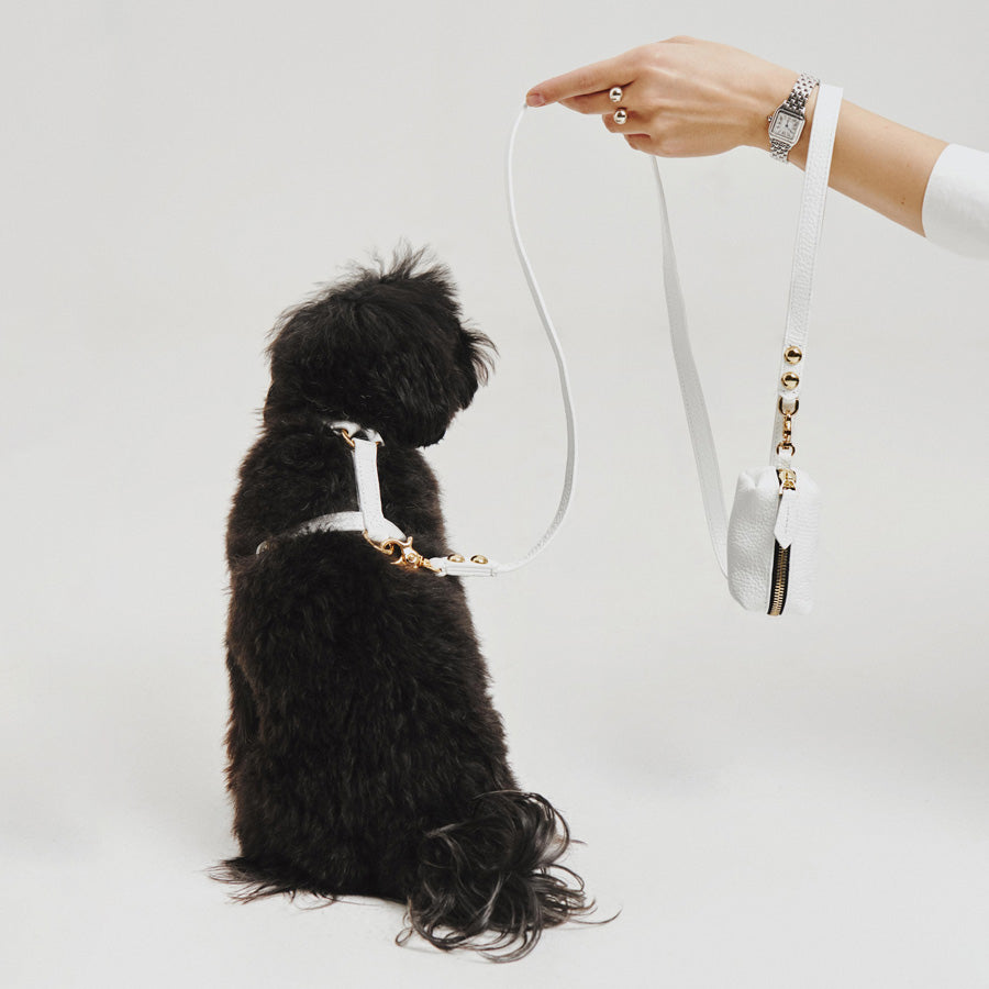 Maltipoo World Harness Hug, White