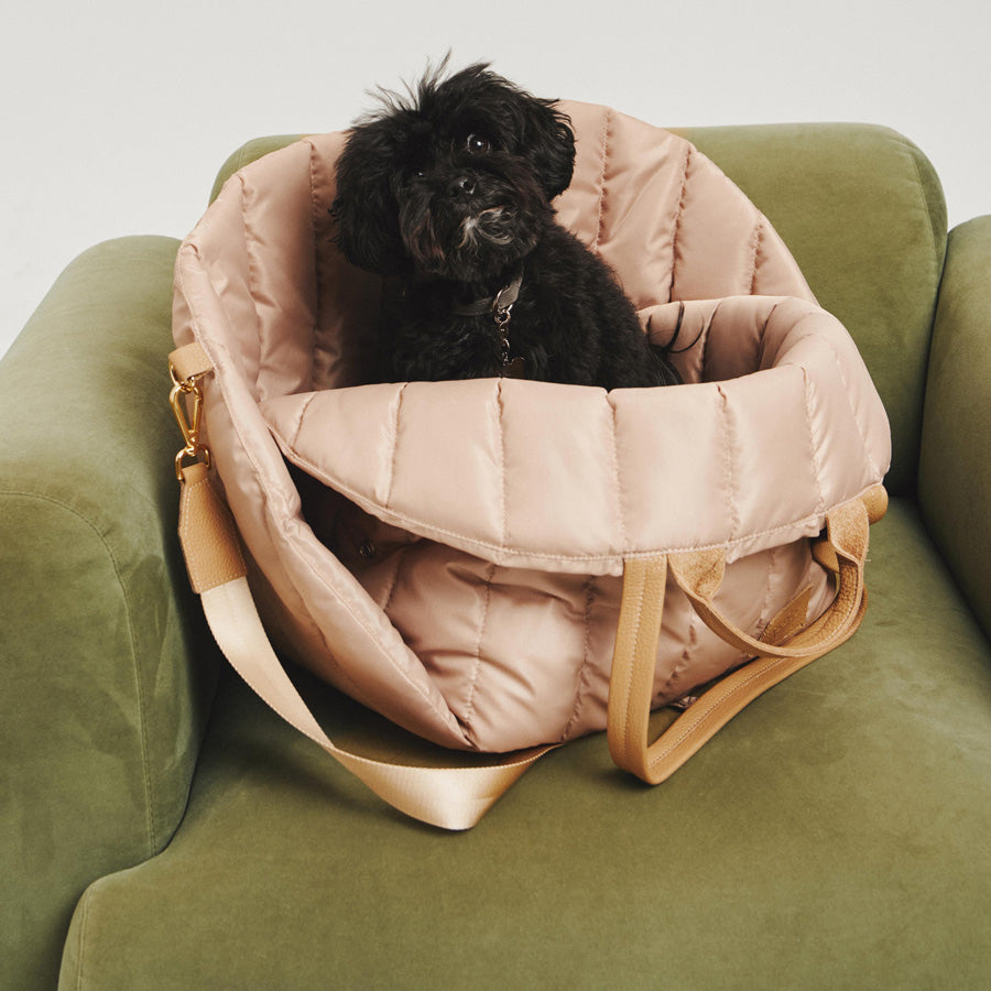 Maltipoo World Car Seat Carrier