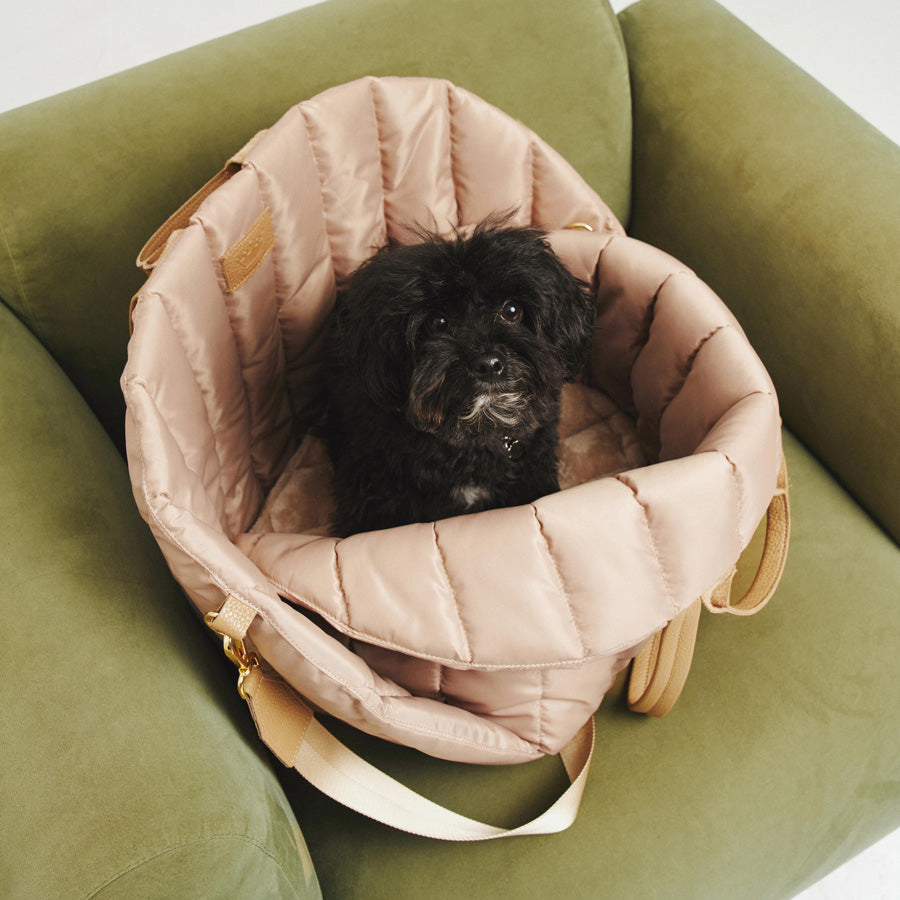 Maltipoo World Car Seat Carrier
