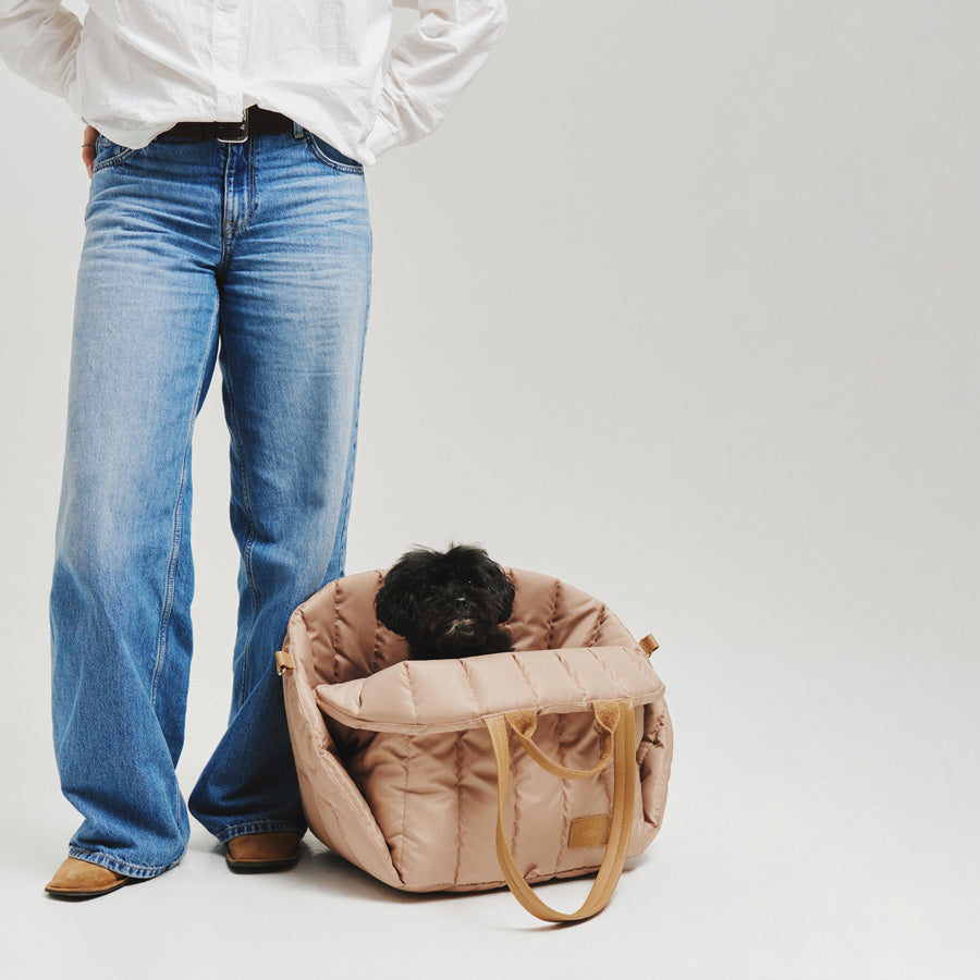 Maltipoo World Car Seat Carrier