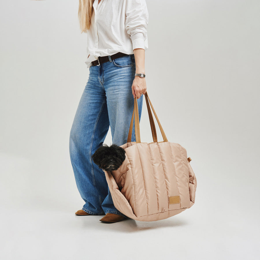 Maltipoo World Car Seat Carrier