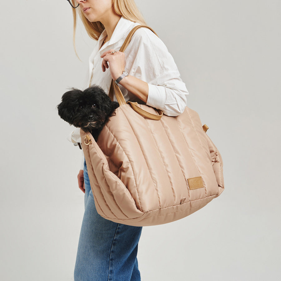 Maltipoo World Car Seat Carrier