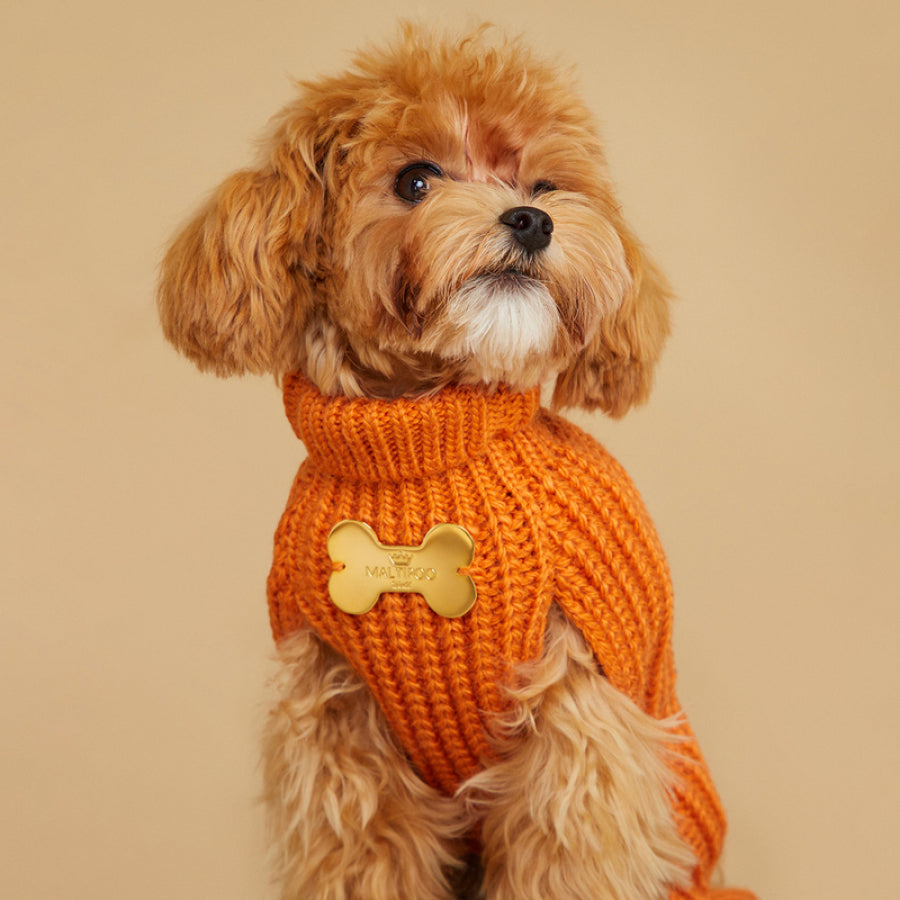 Maltipoo World Sweater Trio, Orange