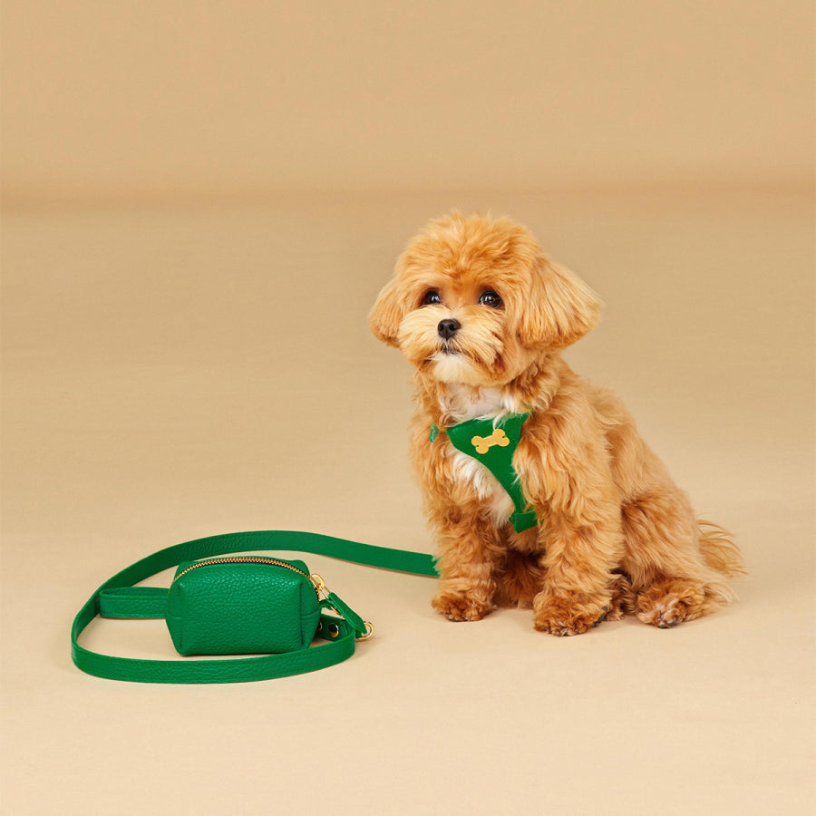 Maltipoo World Dot Leather Harness, Green