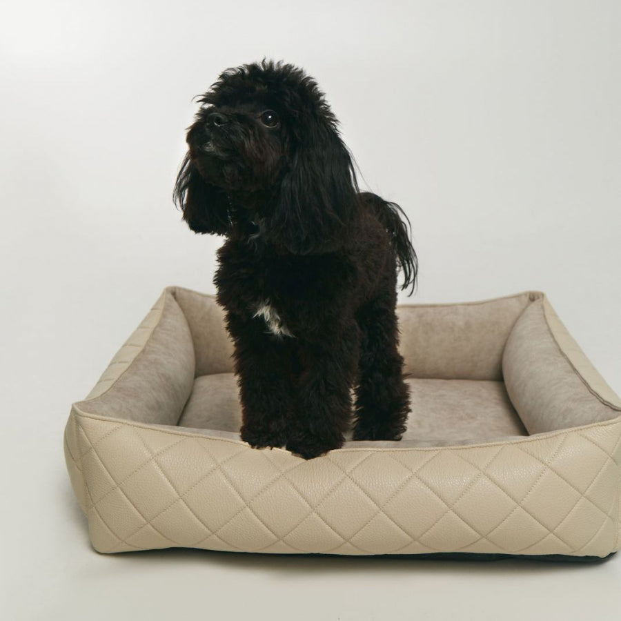 Maltipoo World Leather And Velour Lounger, Vanilla