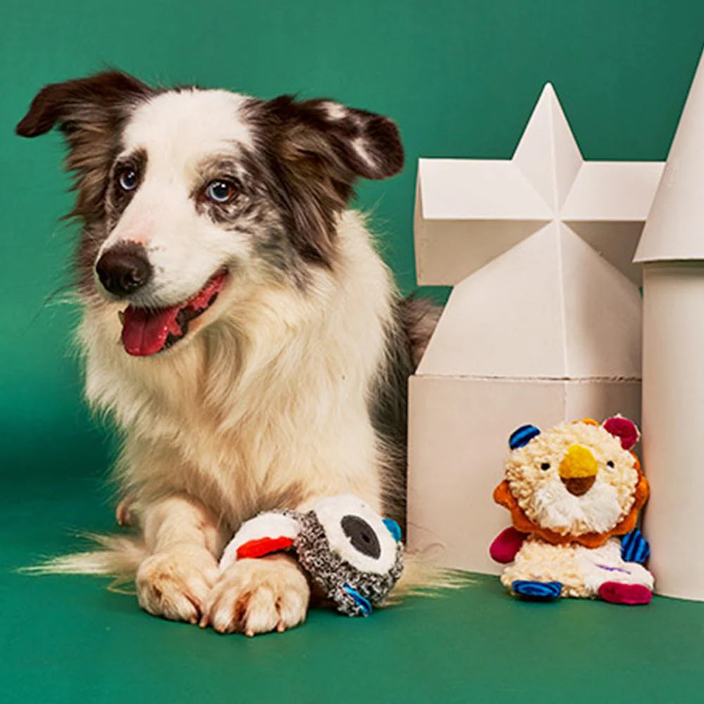 GiGwi Suppa Puppa Racoon Squeaker / Crincle Inside