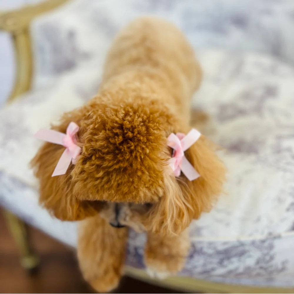 Pearl and Prince Pink Bow Mane Clips, Set of 2
