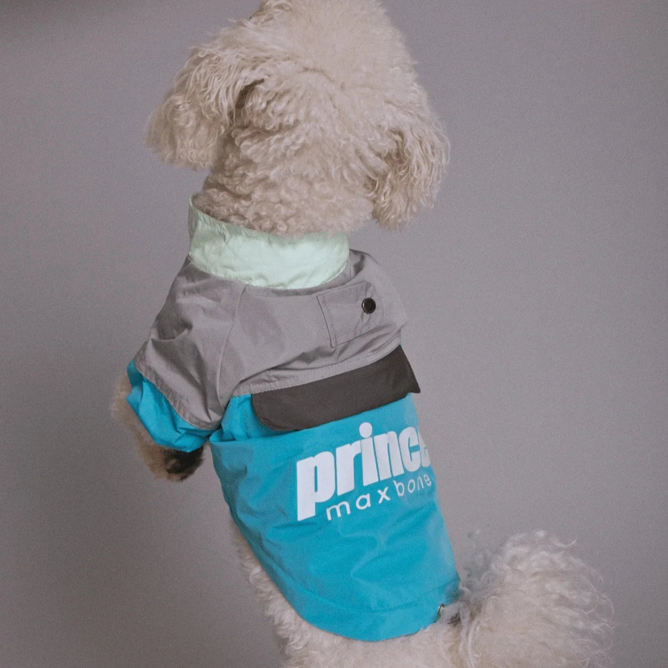 Maxbone X Prince Glowing Wind Breaker Jacket For Dogs