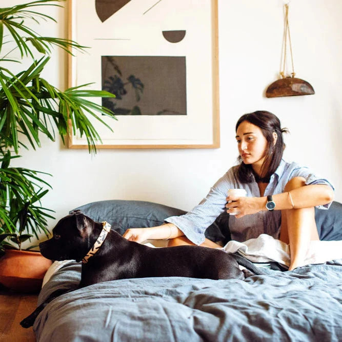 Nice Digs Tiggy Leather Collar, Black