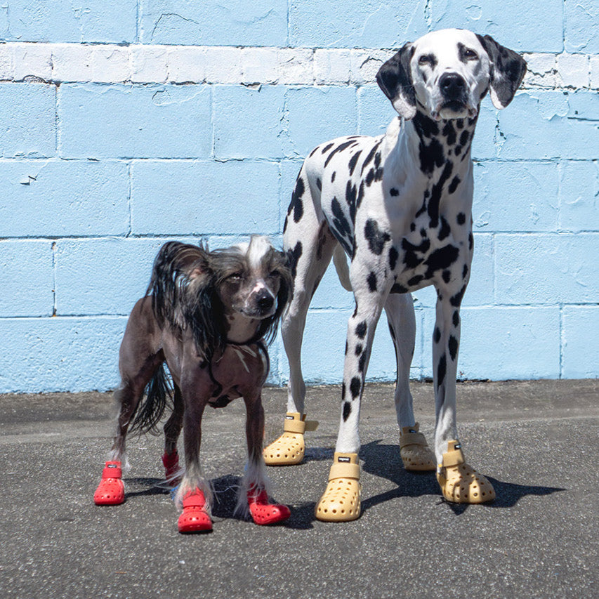 Wagwear WagWellies® Mojave, Red