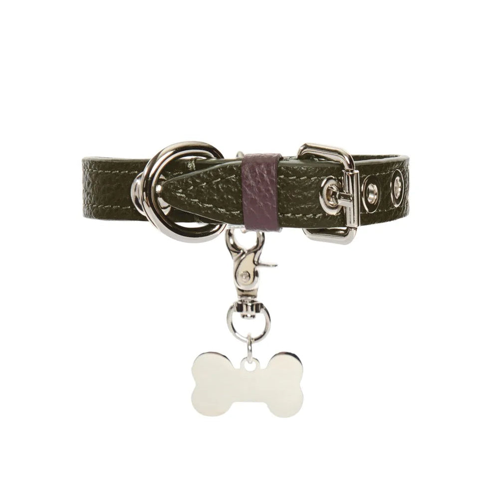 Maltipoo World Dot Collar, Old Money Collection