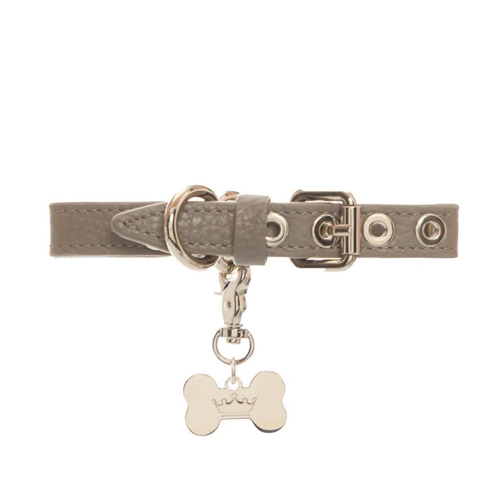 Maltipoo World Dot Collar, Grey