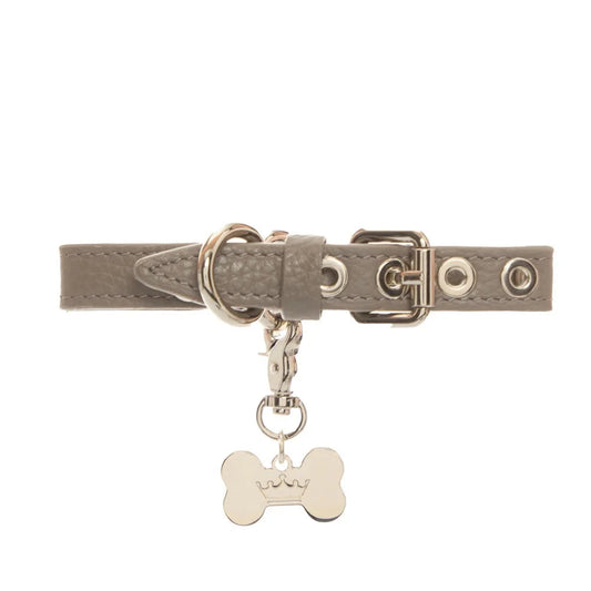 Maltipoo World Dot Collar, Grey
