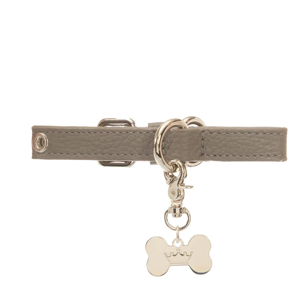 Maltipoo World Dot Collar, Grey