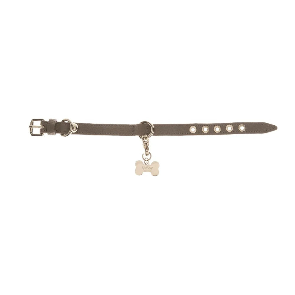 Maltipoo World Dot Collar, Grey