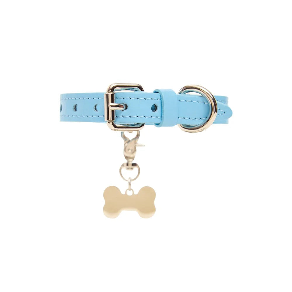 Maltipoo World Easy Collar, Blue