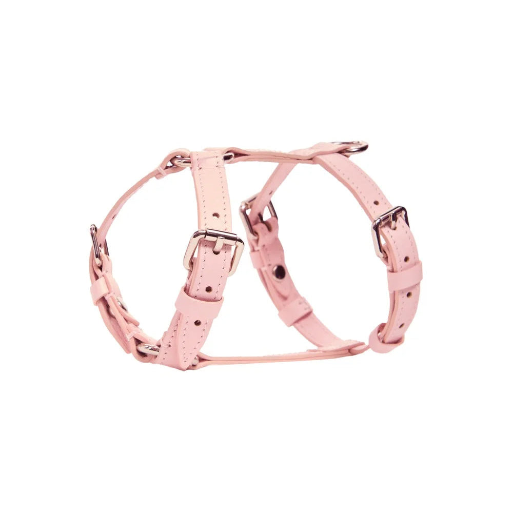 Maltipoo World Harness Hug, Pink