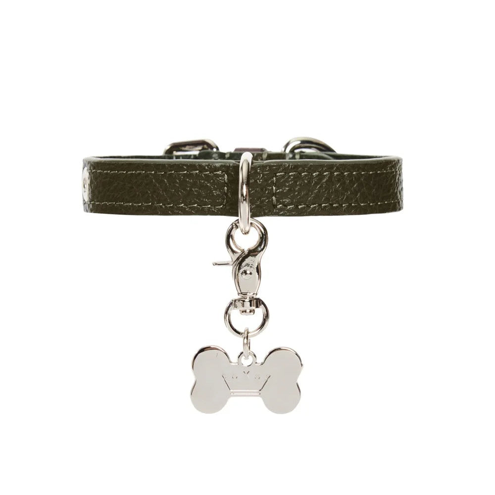 Maltipoo World Dot Collar, Old Money Collection