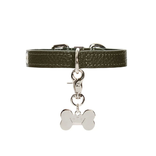 Maltipoo World Dot Collar, Old Money Collection