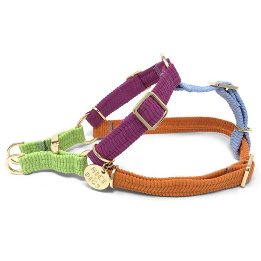 Nice Digs Cord Non-pull Dog Harness, Fruit Salad