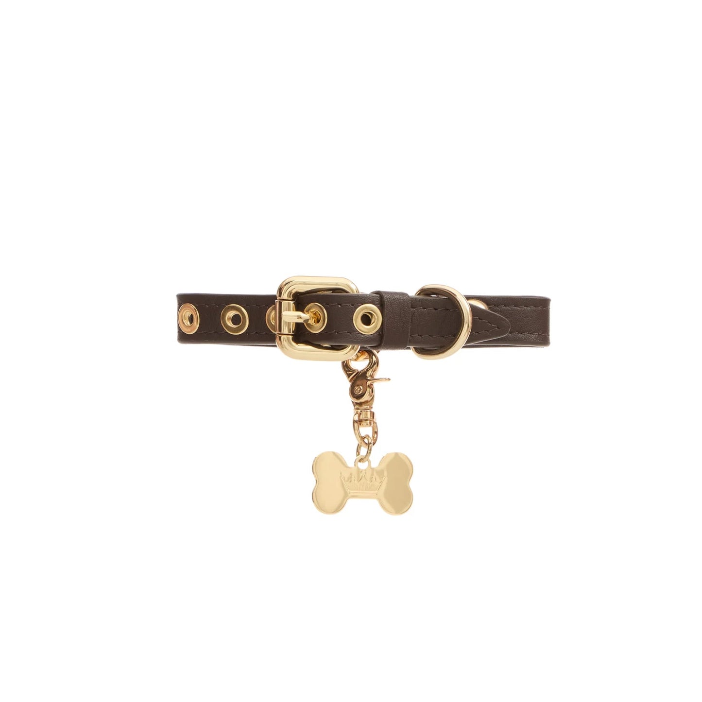Maltipoo World Dot Collar, Truffle Gold