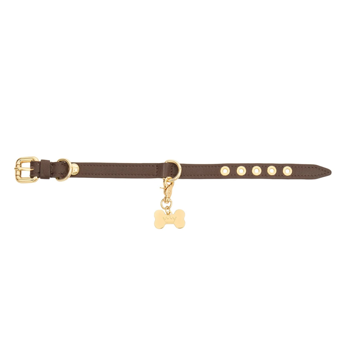 Maltipoo World Dot Collar, Truffle Gold