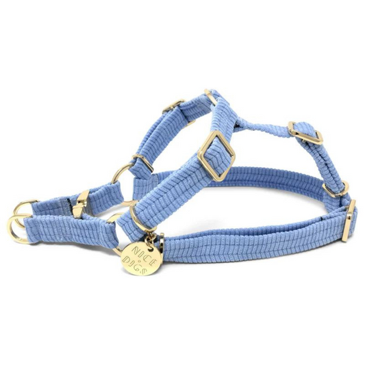 Nice Digs Cord Non-pull Dog Harness, Forget Me Not