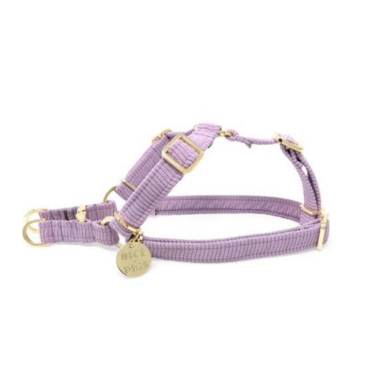 Nice Digs Cord Non-pull Dog Harness, Lilac