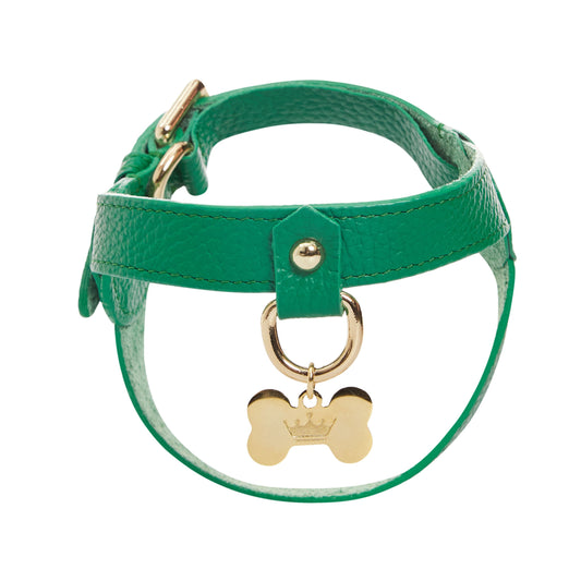 Maltipoo World Leather Harness, Green