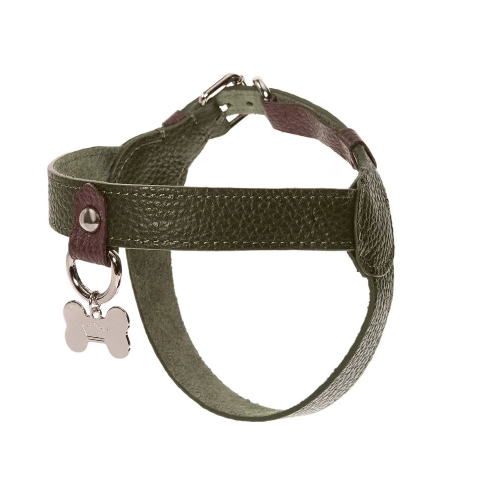 Maltipoo World Classic Leather Harness, Old Money Collection