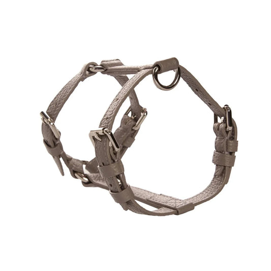 Maltipoo World Harness Hug, Grey